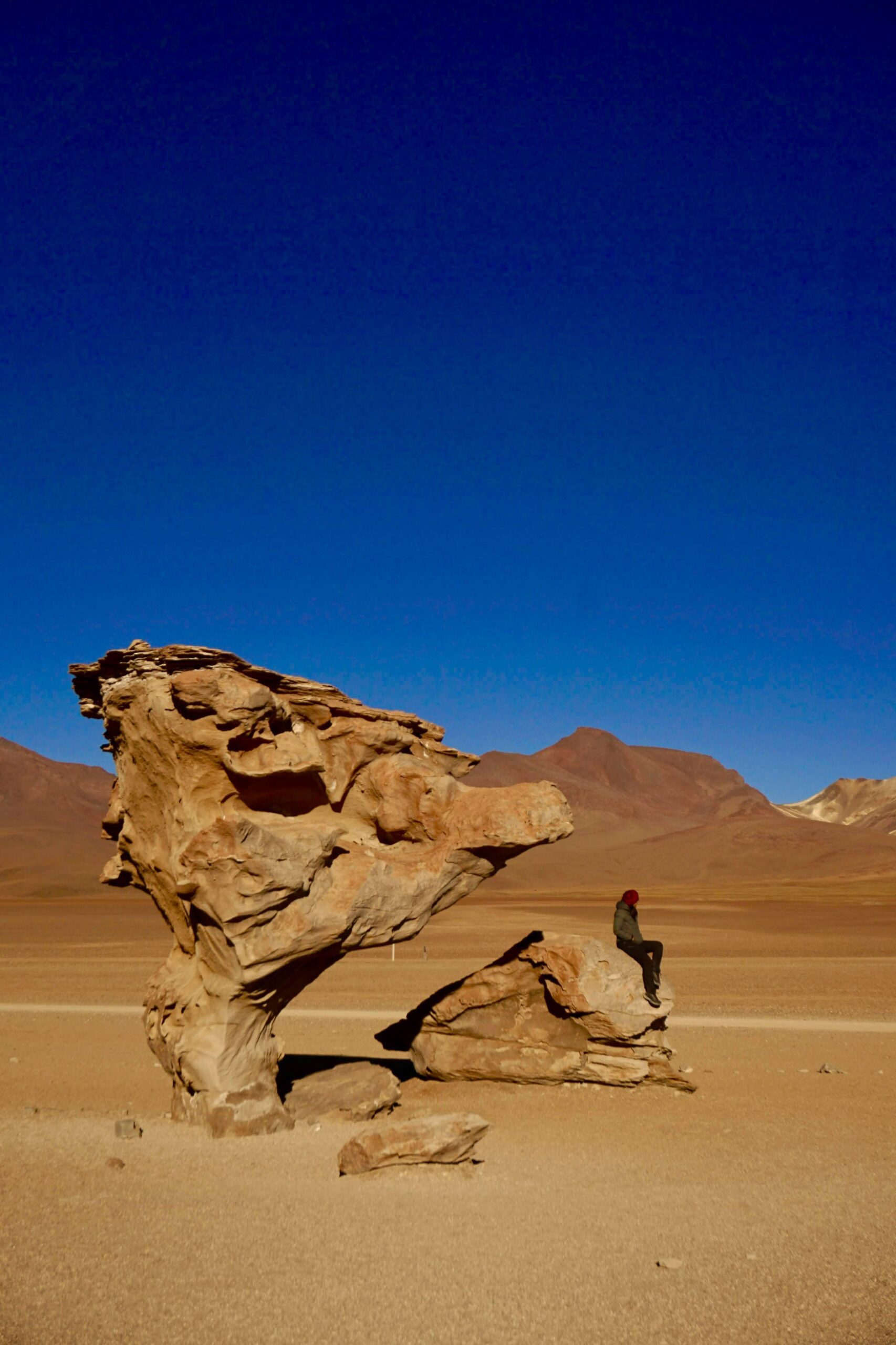 Randomtrip_Arvore_de_Pedra_Bolivia